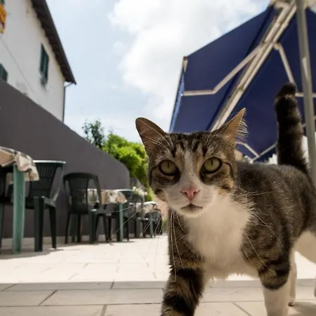 Terranova Hotel Pisa